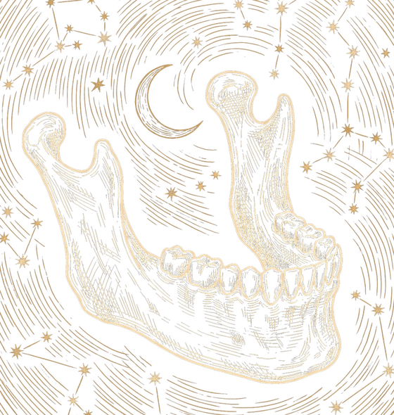 Engraved illustration: Teeth
